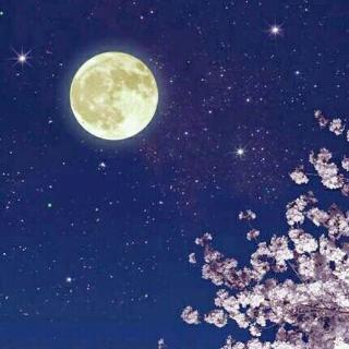夏目漱石說，今晚月色正好。