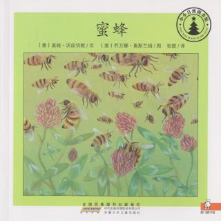137.【小小自然图书馆】蜜蜂