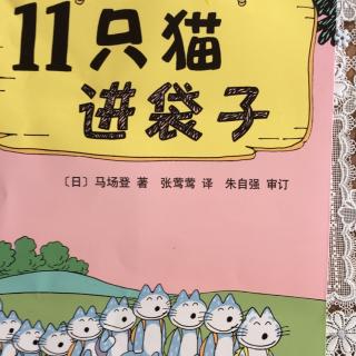 11只猫进袋子