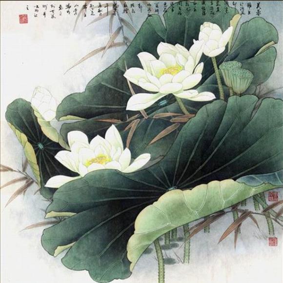 席慕蓉《一个画荷的下午》