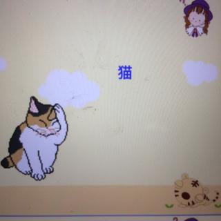 【栋栋讲故事】  四年级语文下册 第十五课猫