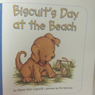 Biscuit's day at the beach