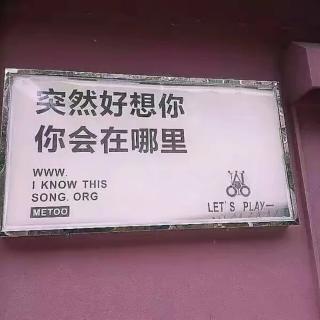 《一个单恋者的告白》