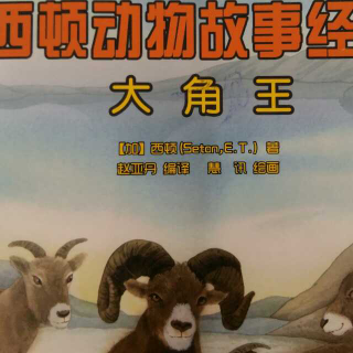西顿动物故事经典之大角王1-2顽皮的小羊