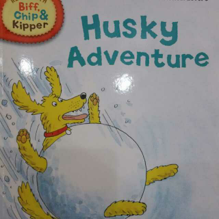 Husky Adventure (L5)