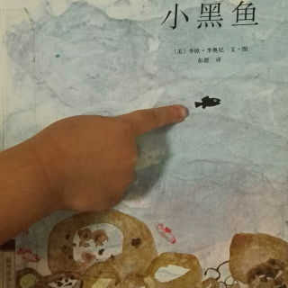 小黑鱼