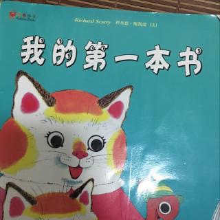 我的第一本书