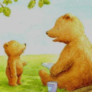 儿童故事：《小熊孵蛋》---兜兜妈妈