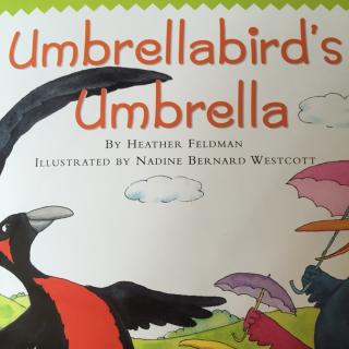 Umbrellabird's umbrella