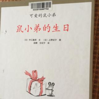 可爱的鼠小弟：鼠小弟的生日