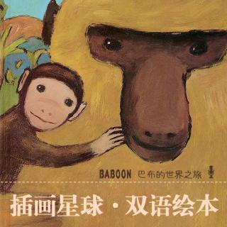 《BABOON》小狒狒巴布的世界之旅（插画星球主播：甜瓜）