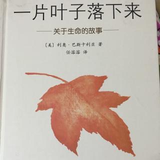 《一片叶子落下来》