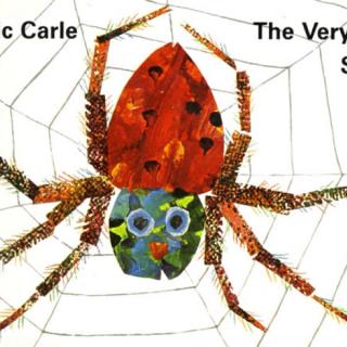 D18：The very busy spider