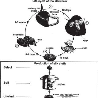 the materials life cycle