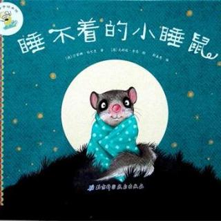 第205夜：睡不着的小睡鼠