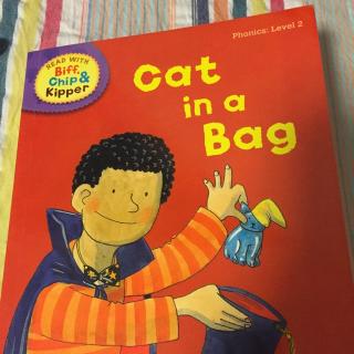 牛津阅读树第二阶Cat in a bag中英