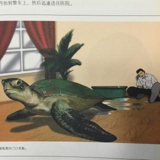 知恩图报救主人－－海🐢