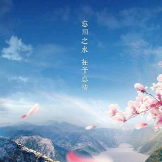 【晚间】 0515 《光影韶华》-匪我思存专题