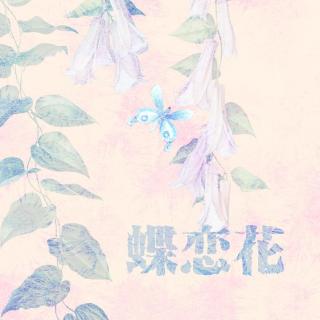 【鹦鹉学舌】第19期 蝶恋花