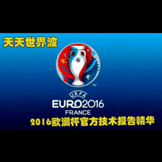 2016/09/20/2016欧洲杯官方技术报告精华
