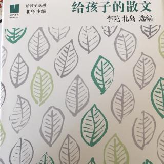 《我的梦想》