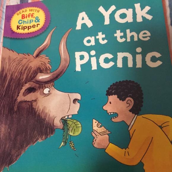 牛津阅读树第二阶a yak at the picnic中英