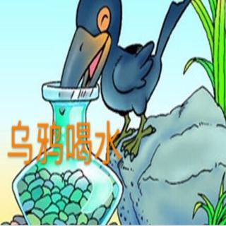 飞飞老师讲故事：《乌鸦喝水》