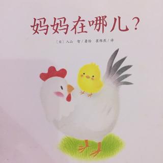 小鸡球球成长绘本系列---妈妈在哪？