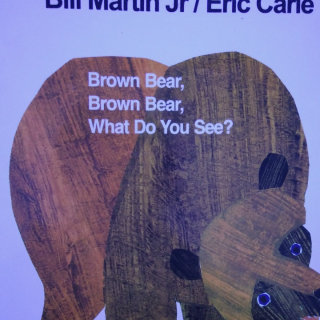 《Brown Bear》小健唱的英文绘本棕熊