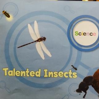 Talented Insects