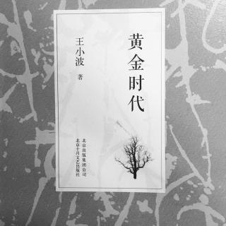 《黄金时代 • 三》王小波