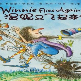 Winnie flies again《温妮再次起飞》