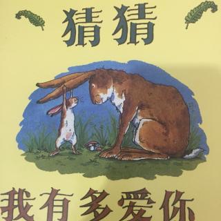 猜猜我有多爱你