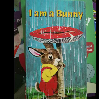 I am a bunny