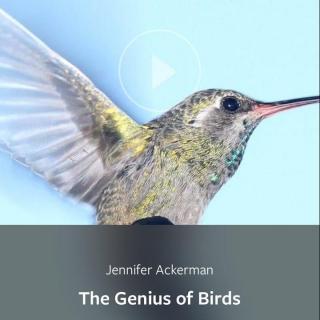 Issue 44 The Genius of Birds（本期无中文）