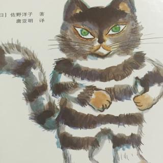 活了100万次的猫