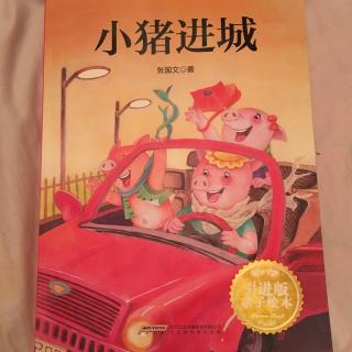 🐷小猪进城🚘