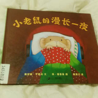 小老鼠的漫长一夜