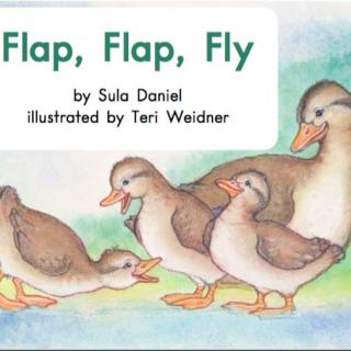 Flap Flap Fly