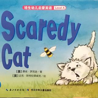 scaredy cat