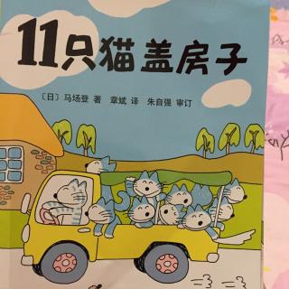 11只猫盖房子陕西方言版