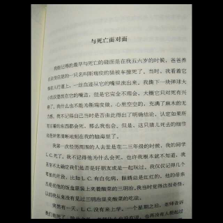 《直视骄阳》第六章与死亡面对面(欧文、亚隆)