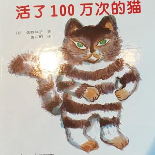 活了一百万次的猫