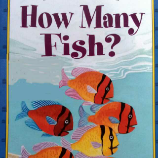40. How Many Fish? (by Lynn)