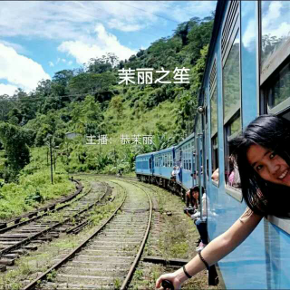 #声音旅行#斯里兰卡行·高山茶园：这里的火车静悄悄