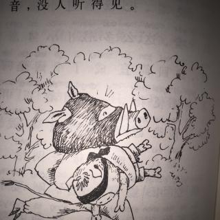 160. 🐷9⃣️稀里呼噜的生死关头