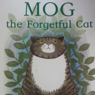 Mog the forgetful cat爱忘事的Mog猫