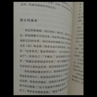 《这个世界的真相》静止的流水