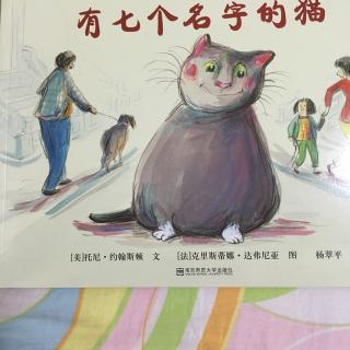 有七个名字的猫