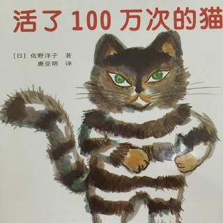 活了100万次的猫